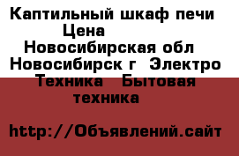 Каптильный шкаф печи › Цена ­ 15 000 - Новосибирская обл., Новосибирск г. Электро-Техника » Бытовая техника   